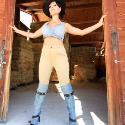 Amanda X in 'Evil Angel' Stable Whores (Thumbnail 6)