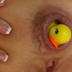 Amy Brooke in 'Evil Angel' Buttman Focused 5 (Thumbnail 4)