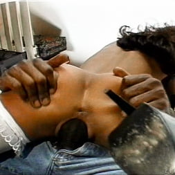 Blake Young in Executions On Butt Row (Photo 8) Blake Young in 'Evil Angel' Executions On Butt Row (Thumbnail 8)