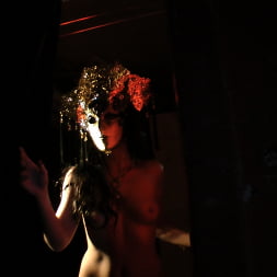 Brooklyn Lee in Voracious - Season 01 Episode 10 (Photo 5) Brooklyn Lee in 'Evil Angel' Voracious - Season 01 Episode 10 (Thumbnail 5)