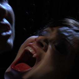 Chastity Lynn in Voracious - Season 2 Episode 11 (Photo 1) Chastity Lynn in 'Evil Angel' Voracious - Season 2 Episode 11 (Thumbnail 1)