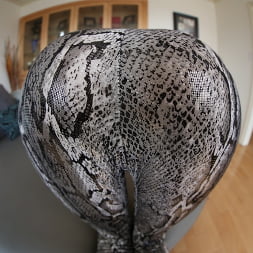 Erica Fontes in 'Evil Angel' Spandex Loads 4 (Thumbnail 30)