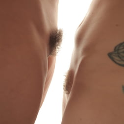 Gabi Paltrova in FUCKGIRLS (Photo 170) Gabi Paltrova in 'Evil Angel' FUCKGIRLS (Thumbnail 170)