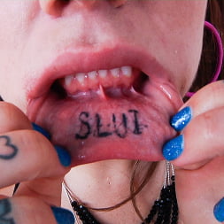 Karmen Karma in Anal INK (Photo 14) Karmen Karma in 'Evil Angel' Anal INK (Thumbnail 14)