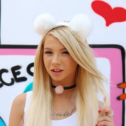 Kenzie Reeves in 'Evil Angel' Drillin' Hotties 4 (Thumbnail 16)