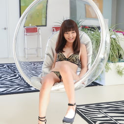 Marica Hase in 'Evil Angel' Evil Anal 22 (Thumbnail 1)