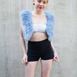 Miley May in Odd Jobs 6 (Photo 1) Miley May in 'Evil Angel' Odd Jobs 6 (Thumbnail 1)