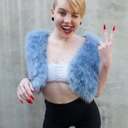 Miley May in Odd Jobs 6 (Photo 12) Miley May in 'Evil Angel' Odd Jobs 6 (Thumbnail 12)