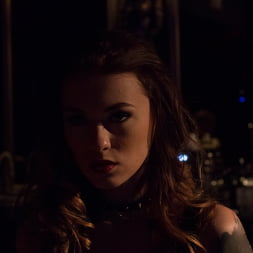 Proxy Paige in Hard In Love (Photo 6) Proxy Paige in 'Evil Angel' Hard In Love (Thumbnail 6)