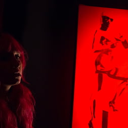 Proxy Paige in Hard In Love (Photo 16) Proxy Paige in 'Evil Angel' Hard In Love (Thumbnail 16)