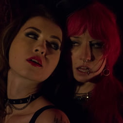 Proxy Paige in Hard In Love (Photo 22) Proxy Paige in 'Evil Angel' Hard In Love (Thumbnail 22)