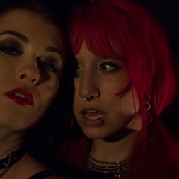 Proxy Paige in Hard In Love (Photo 24) Proxy Paige in 'Evil Angel' Hard In Love (Thumbnail 24)