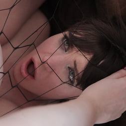 Samantha Bentley in 'Evil Angel' Misha In Exile (Thumbnail 41)