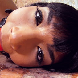 Shazia Sahari in 'Evil Angel' Slutty and Sluttier 15 (Thumbnail 1)