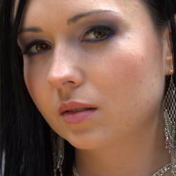Sheena Shaw in Buttman Focused 6 (Photo 1) Sheena Shaw in 'Evil Angel' Buttman Focused 6 (Thumbnail 1)