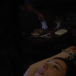 Stoya in 'Evil Angel' Voracious - Season 2 Episode 15 (Thumbnail 6)