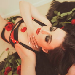 Whitney Wright in 'Evil Angel' Anal Princesses (Thumbnail 232)